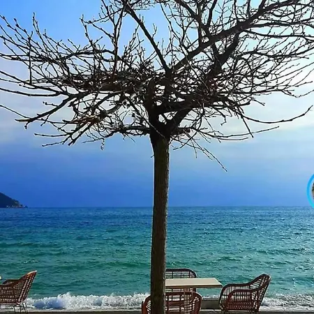 アパート Small Beauty *